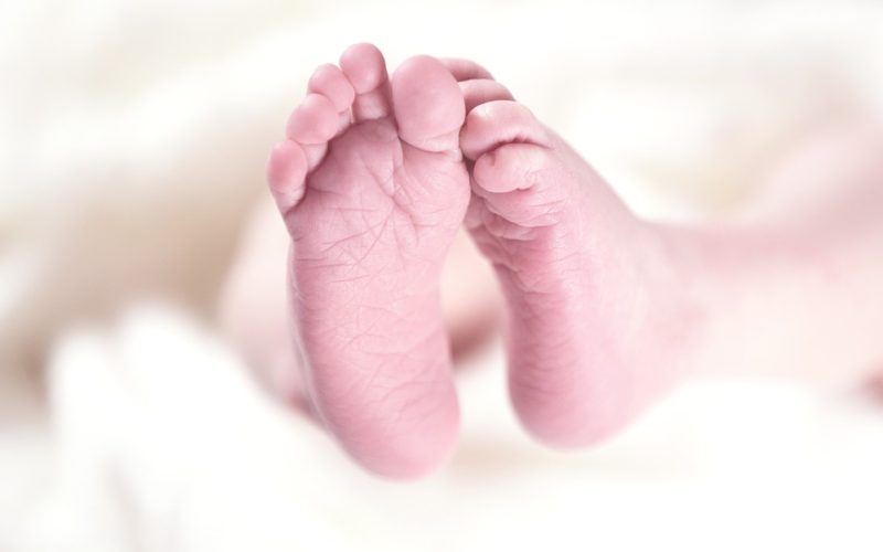 Body of newborn found abandoned in Banjara Hills, Hyderabad