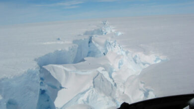 315 billion tonnes of iceberg breaks off Antarctica