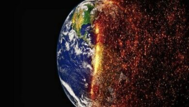 Global warming may increase undernutrition: Study