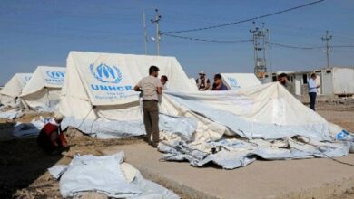 Syria Kurd families flee to Iraq as array of armies advance