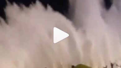 Cyclone Kyarr: High waves hit Oman, video goes viral