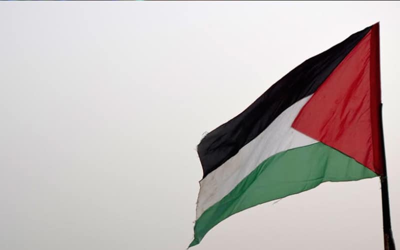 Anti Israel slogans, Palestinian flags raised in Jamia Millia