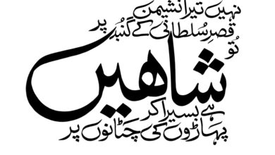 Uproar over Panjab varsity calling Urdu 'foreign language'