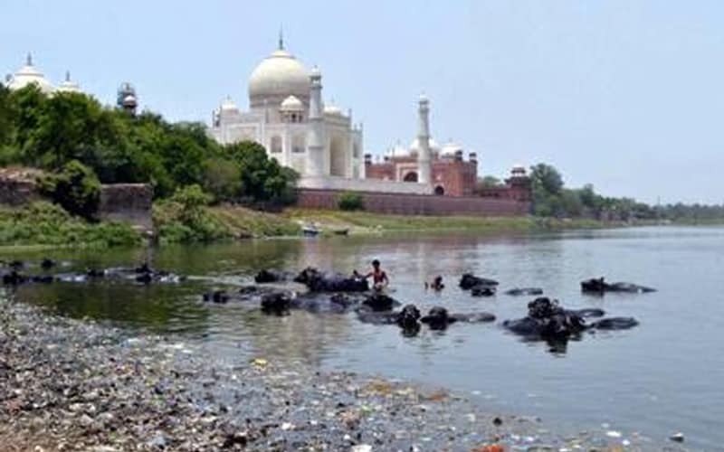 Stink is still the flavour of Yamuna in Taj city