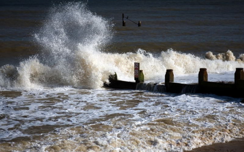 300 million face annual coastline flooding by 2050: study