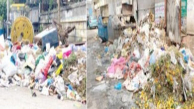 Hyderabad: Major city roads turned into dustbins