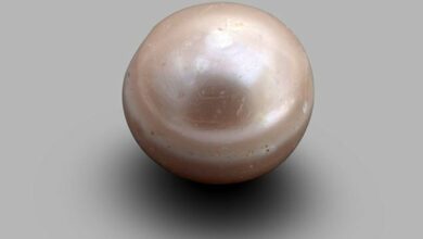 World's oldest pearl found in Abu Dhabi