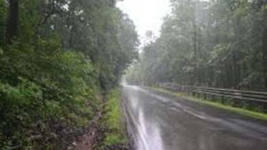 Madhya Maharashtra, Kerala likely to receive heavy rainfall: IMD