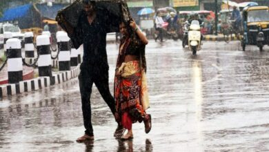 Tamil Nadu, Puducherry to receive heavy rainfall today: IMD