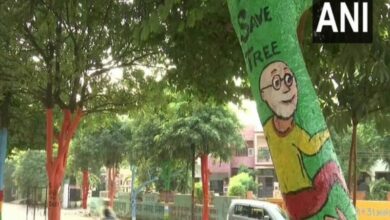 Trees painted with colours as part of beautification drive