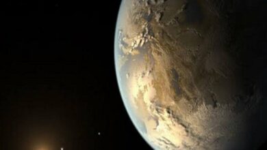 There might be Earth-like planets in the universe