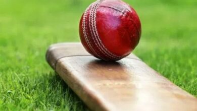 12-year-old dead as flying 'cricket' bat hits head