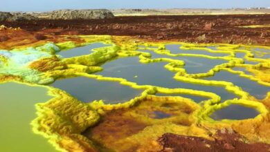 This place on Earth have no life despite water presence