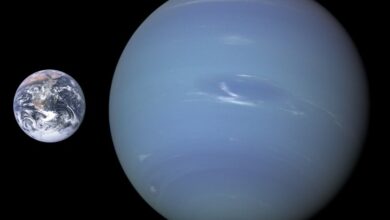 Celestial dance of two Neptune moons amazes twitterati