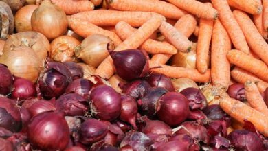 Retail inflation at 16-month high due to higher food prices