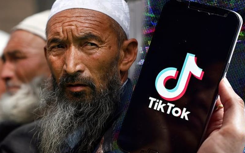 COVID-19 brought the best and worst out of TikTok