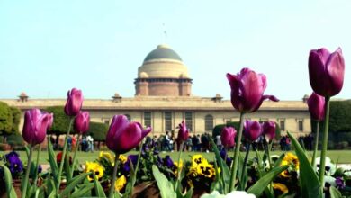 Mughal-Garden