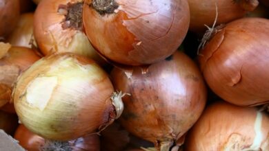 Newly married couple gets 'onions' as wedding gift
