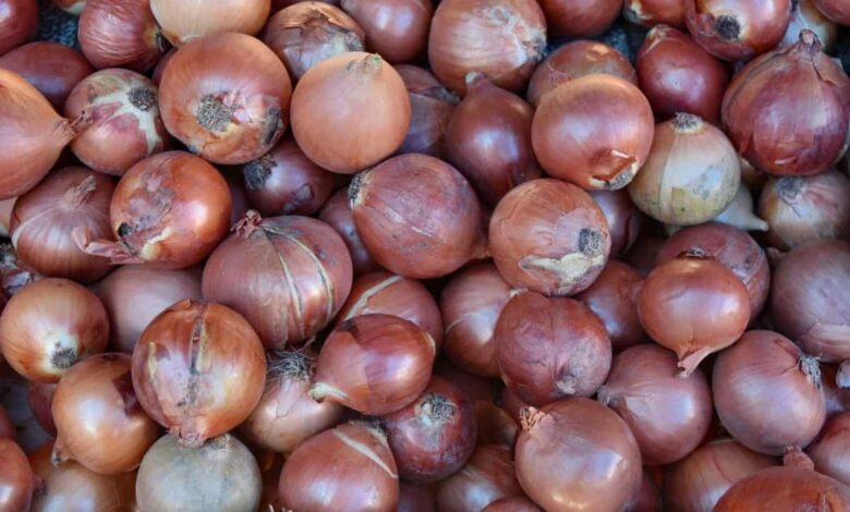 onion