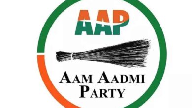 AAP announces 4 Lok Sabha poll candidates from Delhi, 1 from Haryana