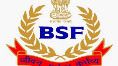 BSF