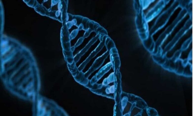 DNA molecule