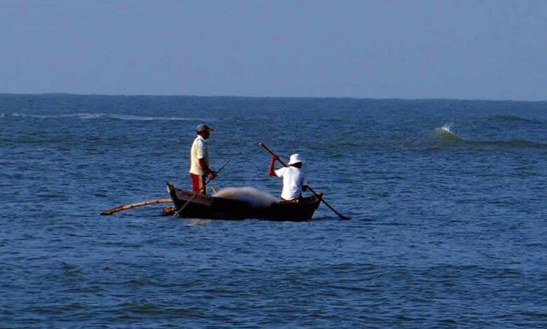 17 fishermen held by Sri Lankan Navy, CM tells Centre; seeks action