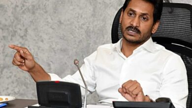 Council conundrum for Jagan?