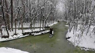 Kashmir