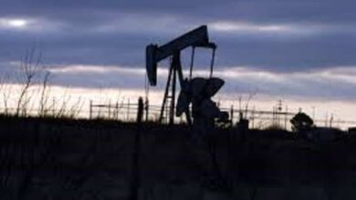 Oil