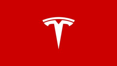 'Tesla' burgers arriving as Musk's EV firm plans restaurant chain