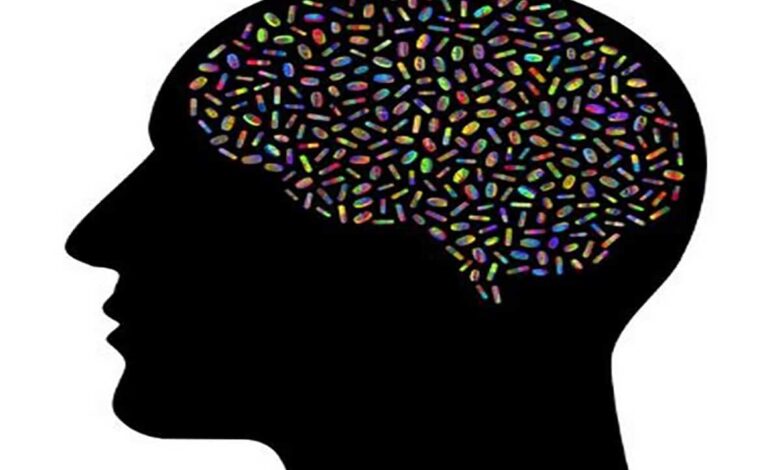 Study shows how human memory works, gets stored