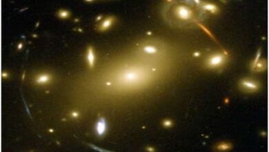 Dark Matter