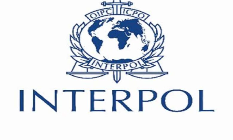 India joins Interpol's child sexual exploitation database