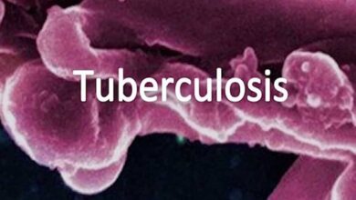 With 664 so far, Telangana sees drop in TB deaths in 2024