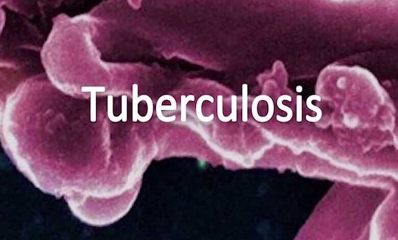 With 664 so far, Telangana sees drop in TB deaths in 2024