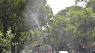 UP to follow 'one road, one tree concept'