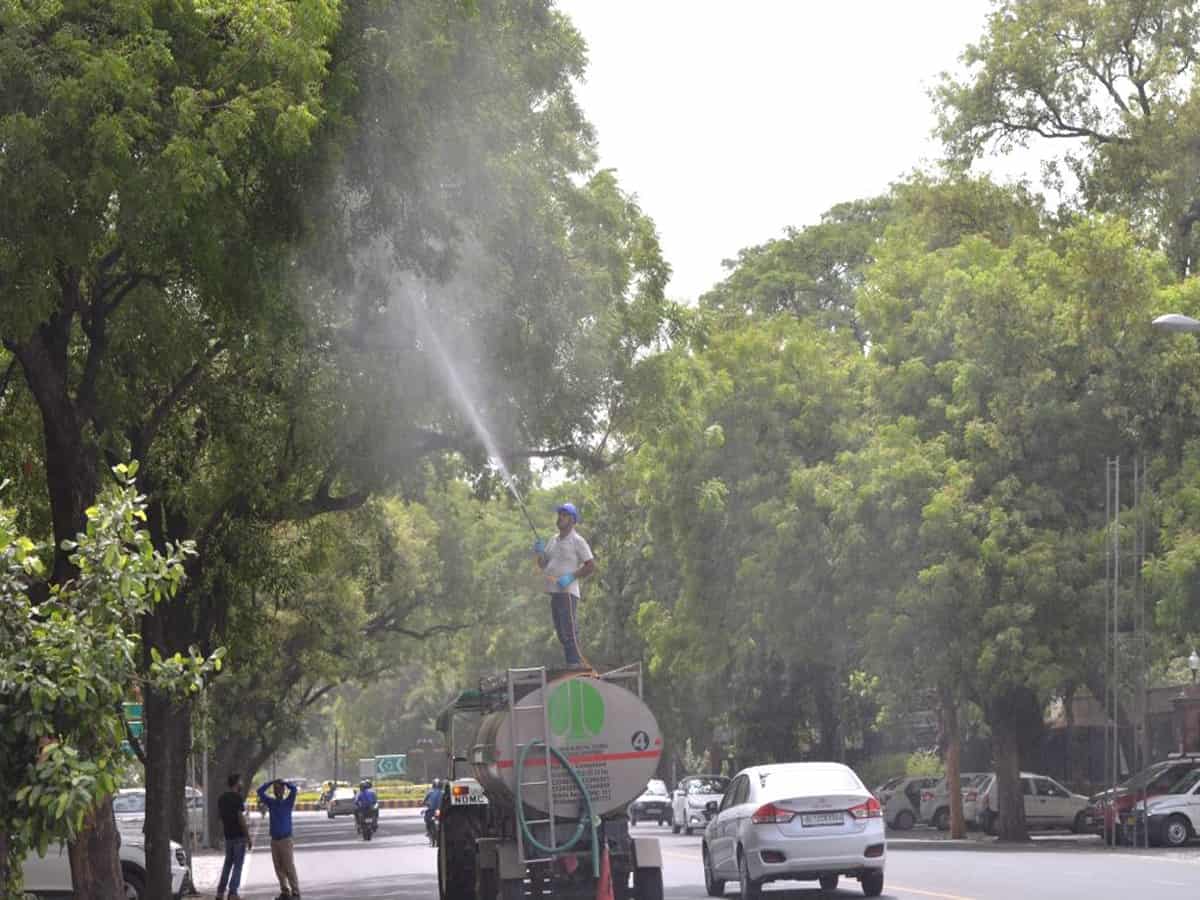 UP to follow 'one road, one tree concept'