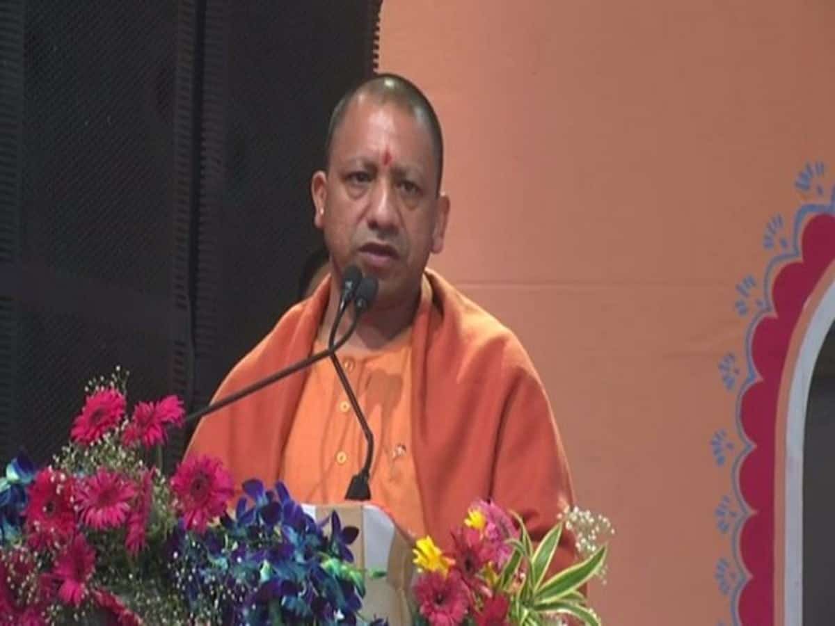 Yogi