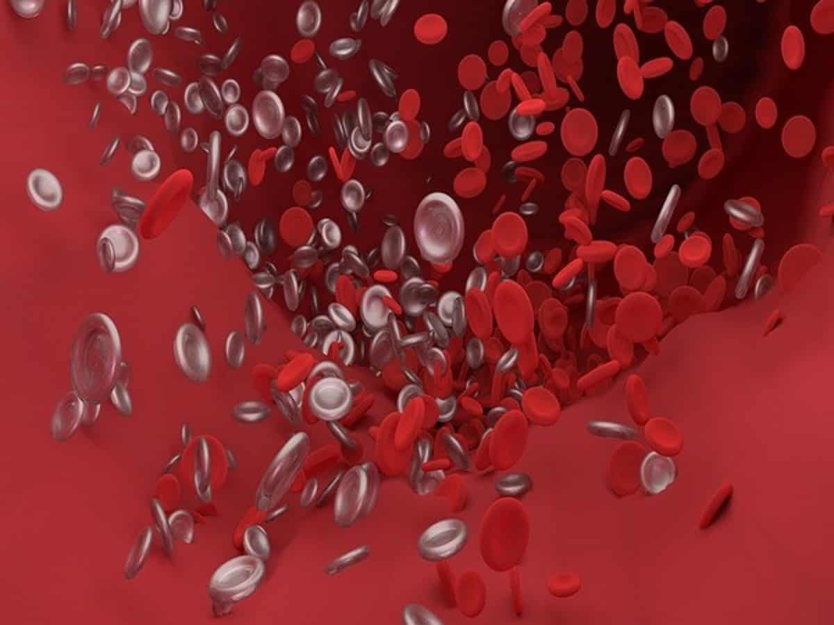 blood cells