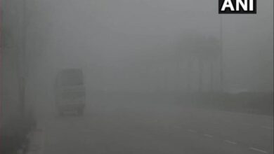Delhi Foggy