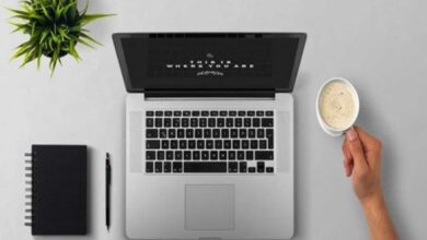 Desktop Plant