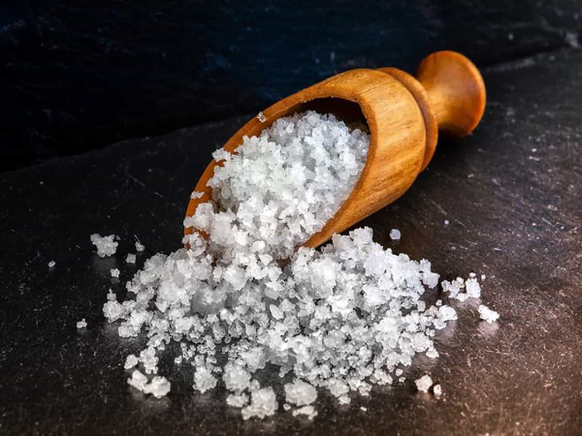 Tamil Nadu to increase salt production