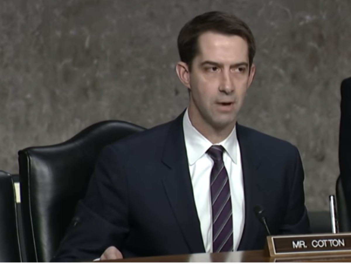 Senator