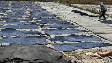 tanneries