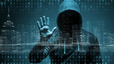 'Kerala, Punjab, TN faced brunt of cyber attacks during COVID-19