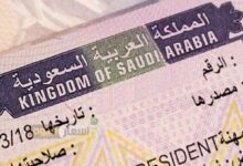 Saudi: Up to Rs 11L fine, 6-months jail for visit visa violators