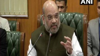 Amit Shah morns over Irrfan Khan's death