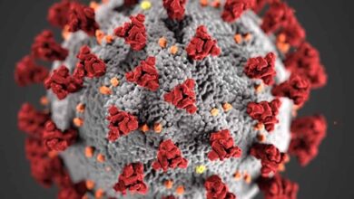 covid-19 coronavirus