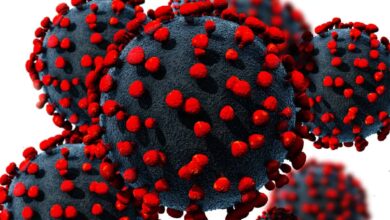 How to kill the coronavirus; learn from Chinese expert